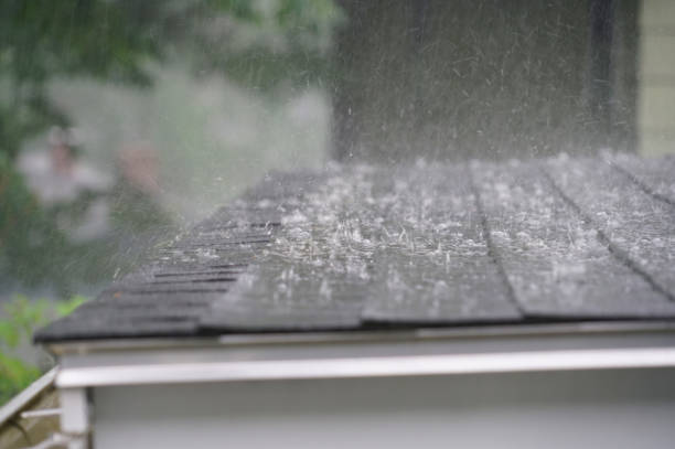 Best Solar Panel Roofing Installation  in San Mateo, CA